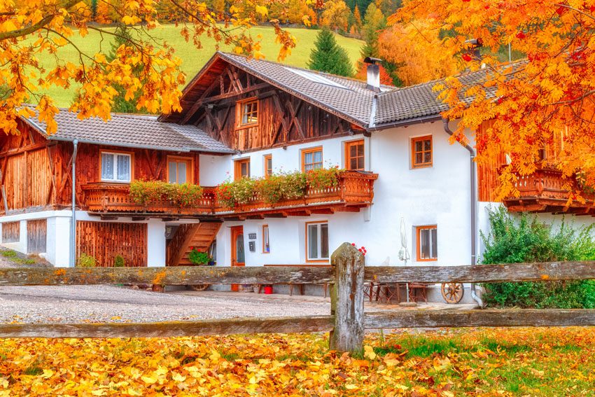 Fall season scenery in Alpine village, house rounded with trees caped with yellow - golden foliage. Italy, South Tyrol, ManagedBNB