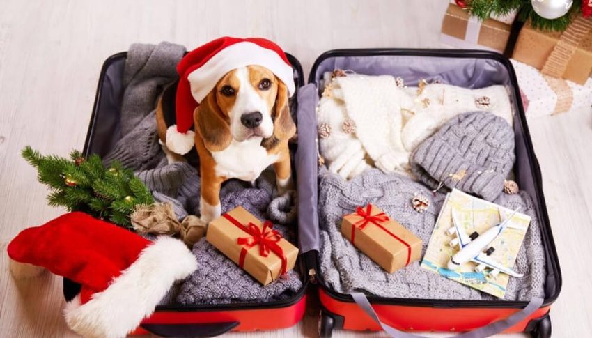 How to Attract Holiday Travelers to Your Airbnb This Season